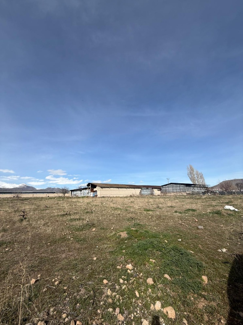 KAYSERİ DEVELİ REŞADİYE MAHALLESİ SIRATAŞ MEVKİİNDE SATILIK BAĞ